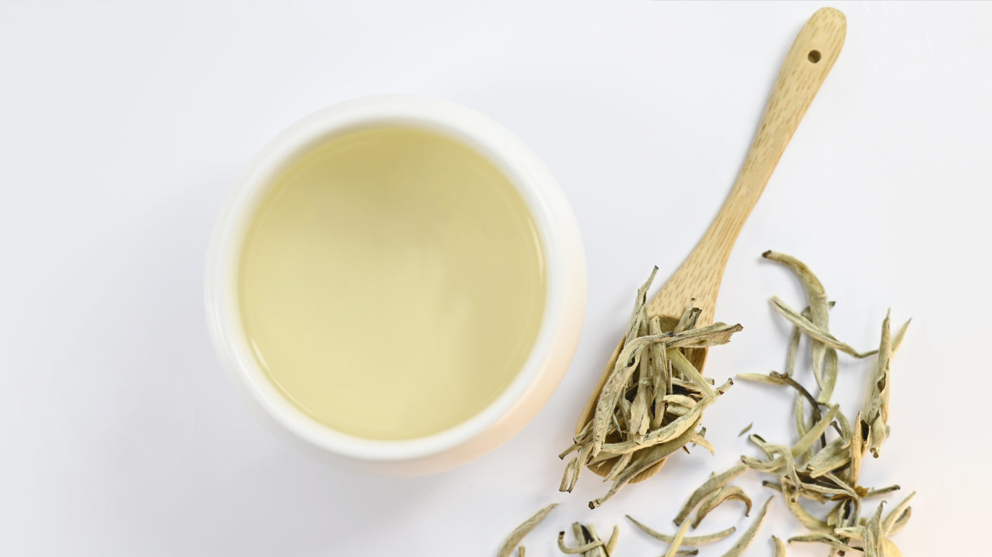 SILVER NEEDLE WHITE TEA